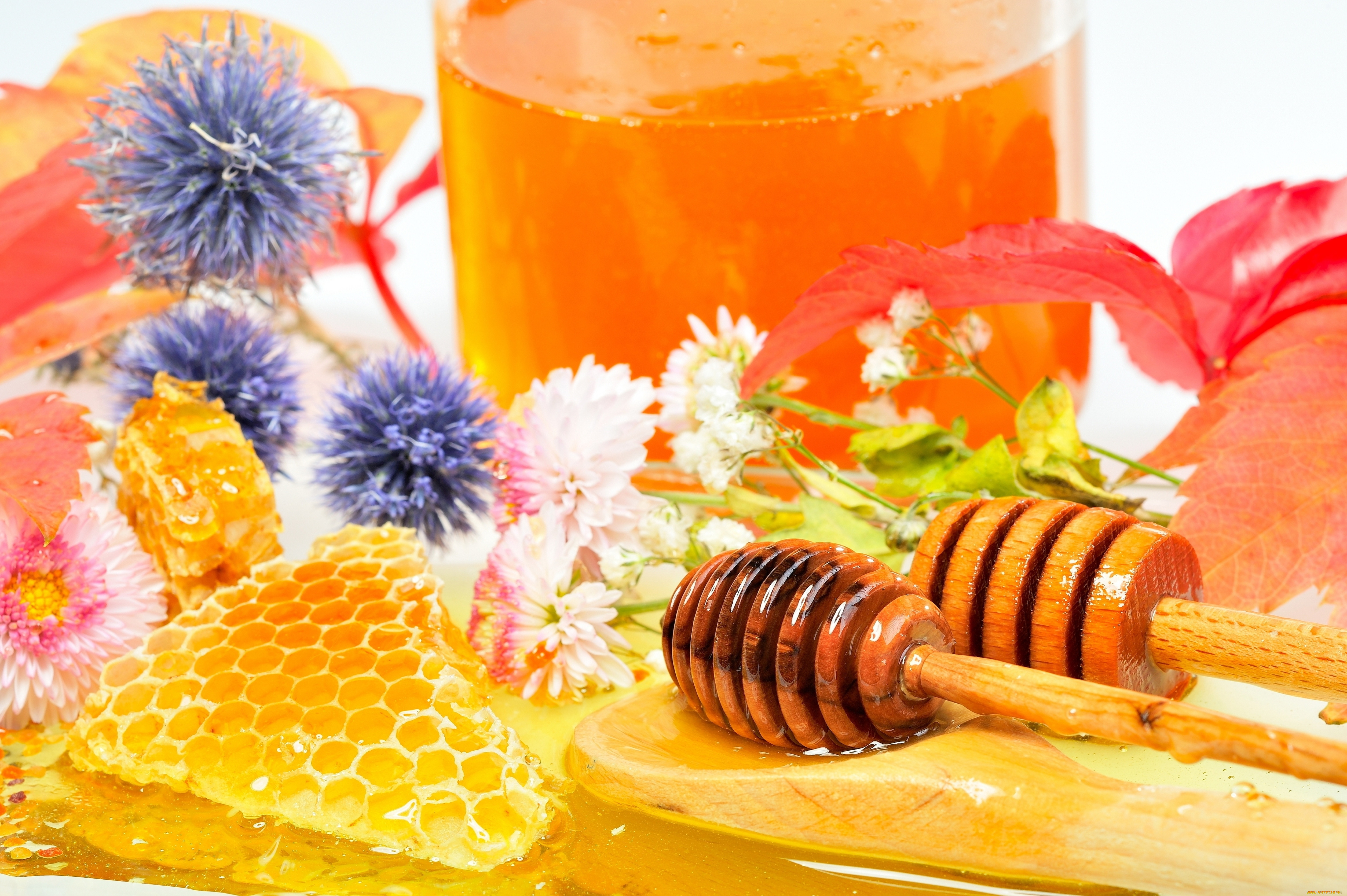 Масло будем здоровы. Мёд цветочный. Мед и цветы. Красивый мед. Композиция с медом.